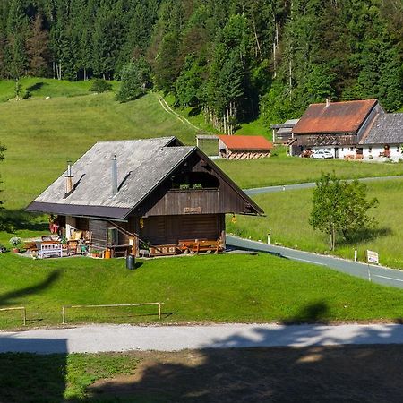 Brunarica Bled Zatrnik Pokljuka Eksteriør bilde