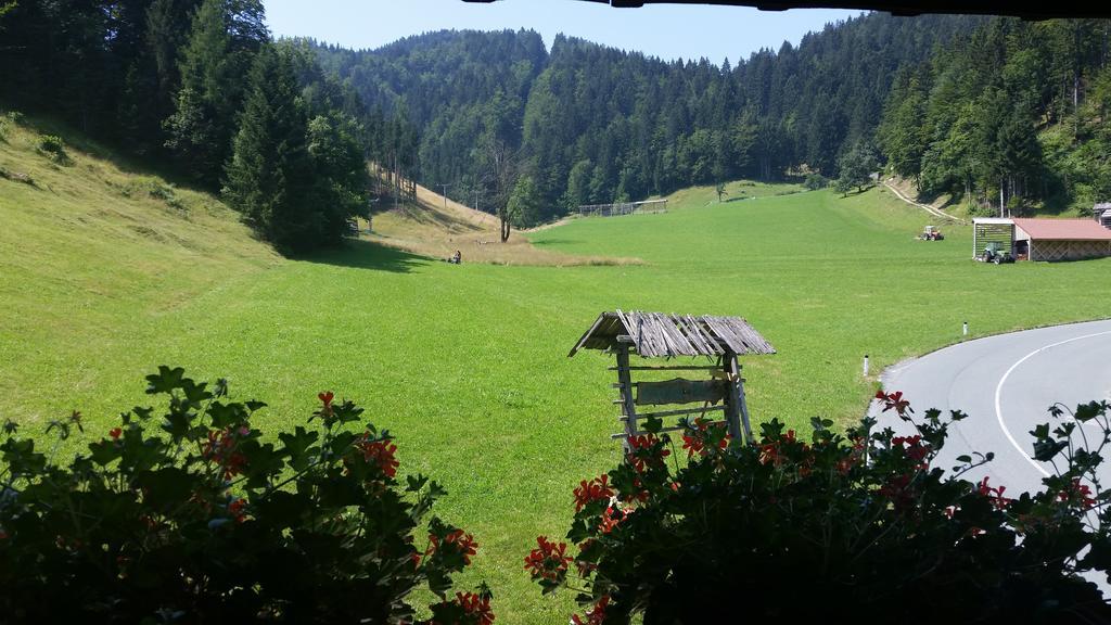Brunarica Bled Zatrnik Pokljuka Rom bilde