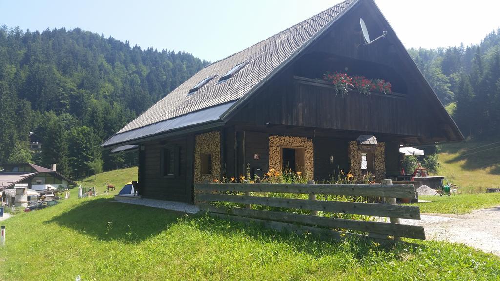 Brunarica Bled Zatrnik Pokljuka Rom bilde