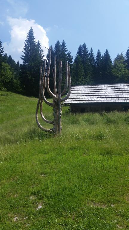 Brunarica Bled Zatrnik Pokljuka Eksteriør bilde