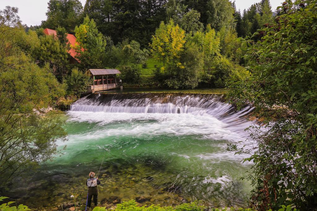 Brunarica Bled Zatrnik Pokljuka Eksteriør bilde