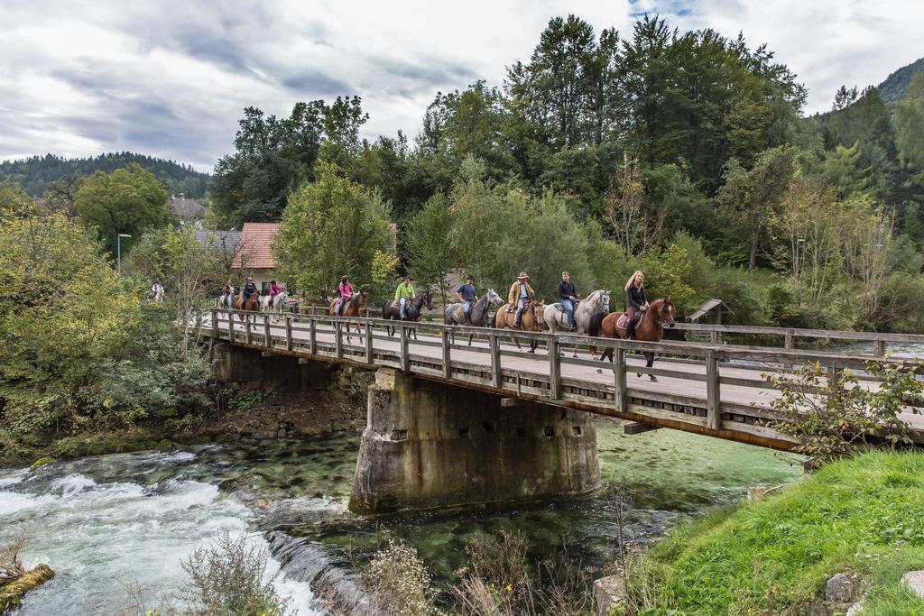 Brunarica Bled Zatrnik Pokljuka Eksteriør bilde